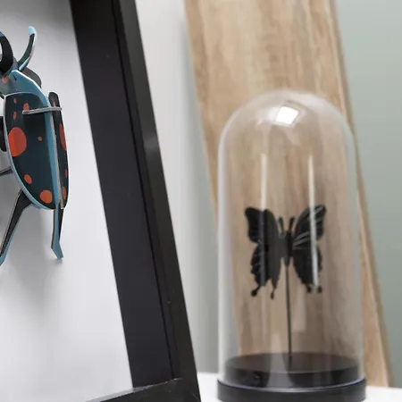 Apartment Le Nao- L'ile Feydeau - 2 De Charme